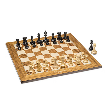 Judit Polgar Deluxe DGT Shakkilauta