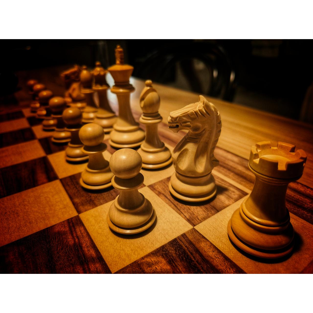 Skakbrikker SUPREME STAUNTON